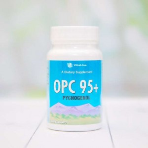 OPC 95+ Пікногенол